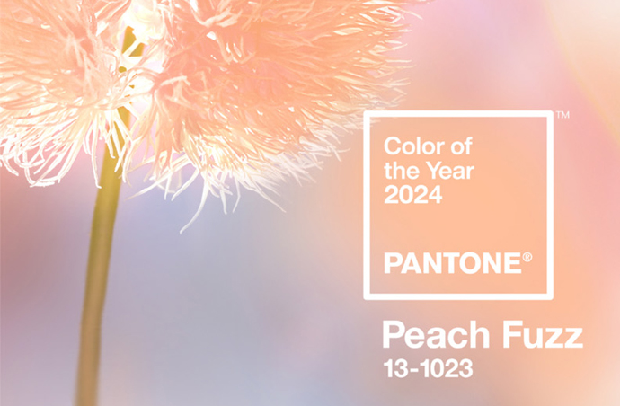 PANTONE 2024 年度代表色：柔和桃